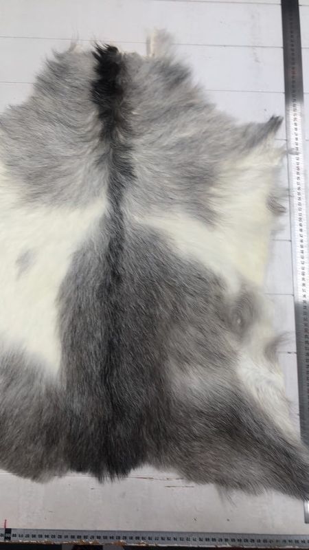 Killingskinn spraglet