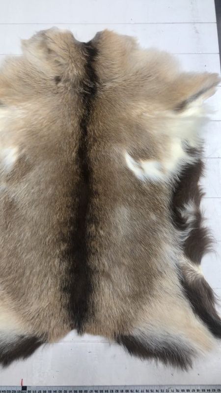 Killingskinn spraglet