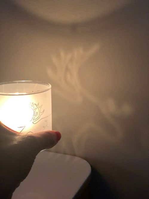 Hovedbilde frostet lysholder med rein