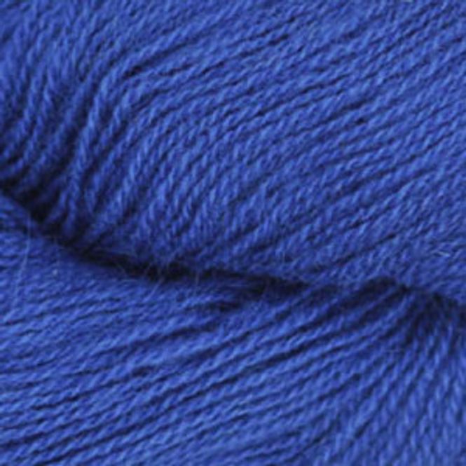 Hovedbilde Kongeblå